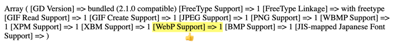 webp-support-test