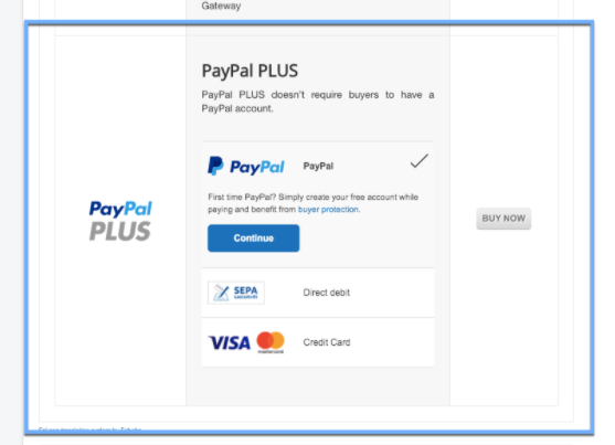 paypal-plus-payment-djcf-dynamic-view